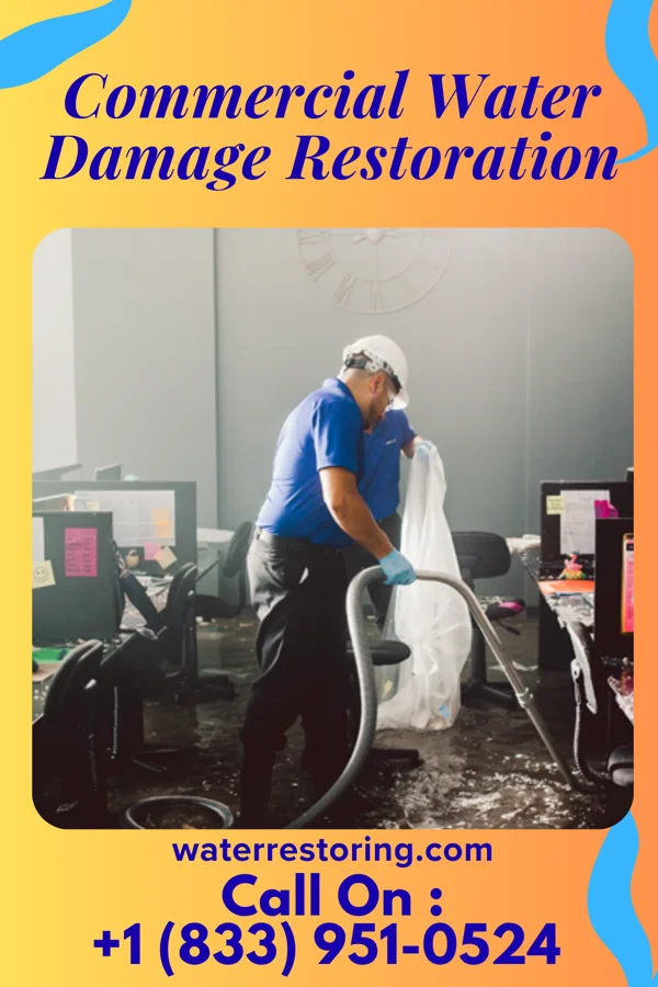Commercial Water Damage Restoration in Winifred, MT